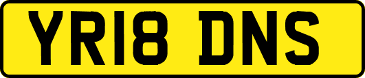 YR18DNS