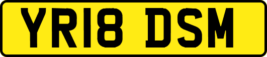 YR18DSM