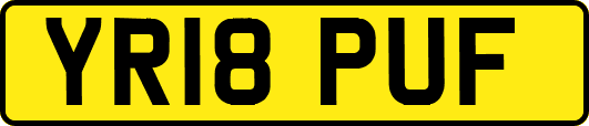 YR18PUF