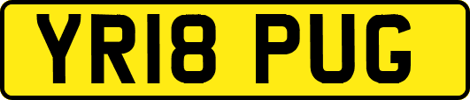 YR18PUG