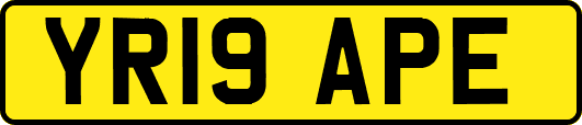 YR19APE