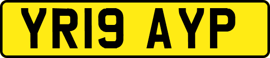 YR19AYP
