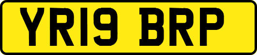 YR19BRP