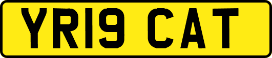 YR19CAT
