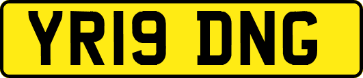YR19DNG
