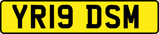 YR19DSM