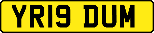 YR19DUM