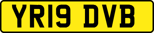 YR19DVB