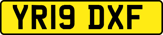 YR19DXF