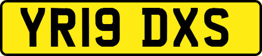YR19DXS