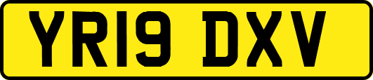YR19DXV