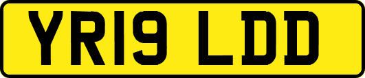 YR19LDD