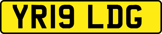 YR19LDG