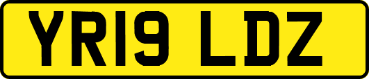 YR19LDZ