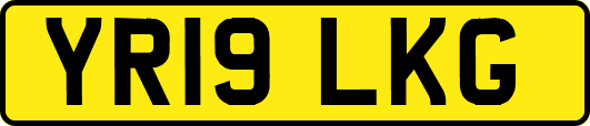 YR19LKG