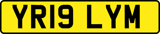 YR19LYM