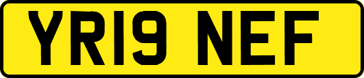 YR19NEF
