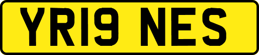 YR19NES
