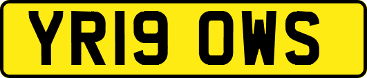 YR19OWS