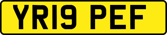 YR19PEF