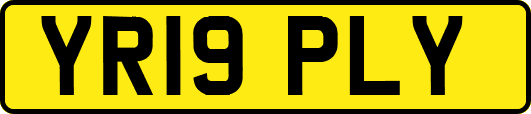 YR19PLY