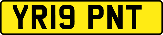 YR19PNT