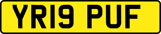 YR19PUF