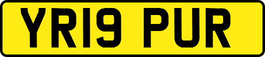 YR19PUR