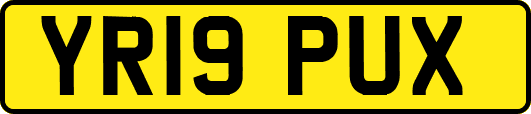 YR19PUX