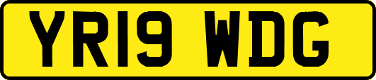 YR19WDG