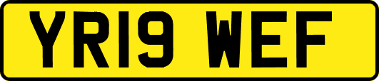 YR19WEF