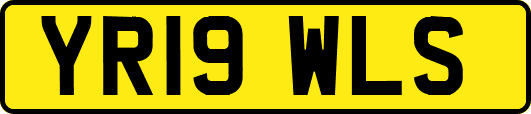 YR19WLS