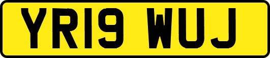 YR19WUJ