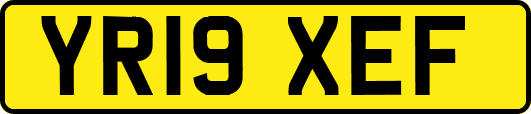 YR19XEF