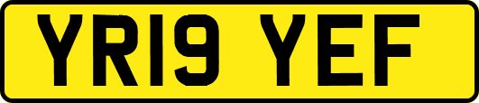 YR19YEF