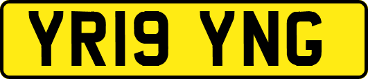 YR19YNG