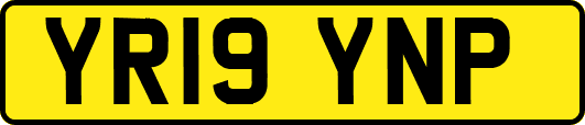 YR19YNP