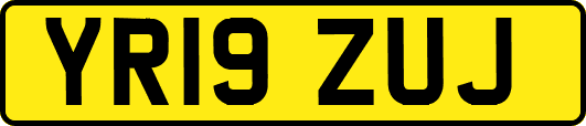 YR19ZUJ