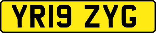 YR19ZYG