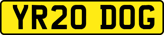 YR20DOG