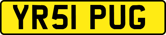 YR51PUG