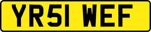 YR51WEF