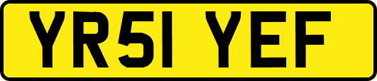 YR51YEF
