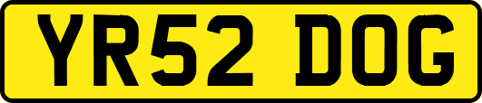 YR52DOG