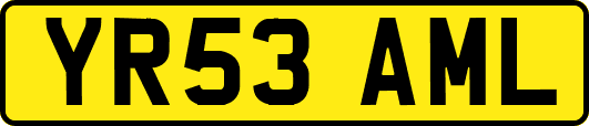 YR53AML