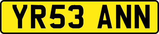 YR53ANN