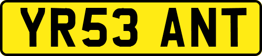 YR53ANT