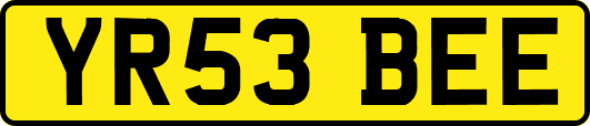 YR53BEE
