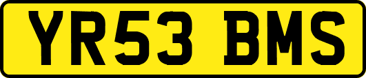 YR53BMS