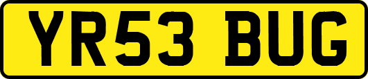 YR53BUG